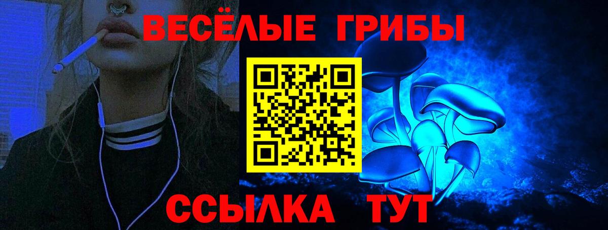 Галлюциногенные грибы ЛСД Изобильный